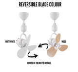 Bestar Duo Hagar 16 Inch Corner DC Wall/Ceiling Fan with Remote domaco.com.sg