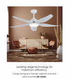 Fanco Galaxy 5 DC Ceiling Fan domaco.com.sg