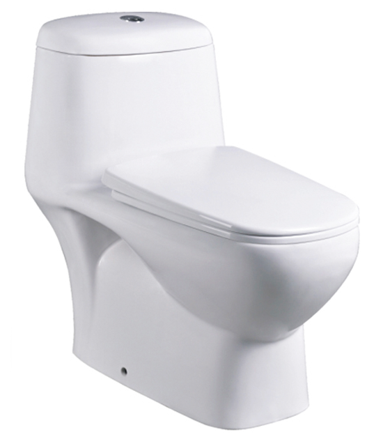 Economy Class Toilet Bowl & Basin Package
