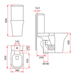 Rubine RI-201S10 2-Piece Toilet Bowl (S-Trap 250mm)