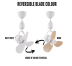 Bestar Duo Hagar 16 Inch Corner DC Wall/Ceiling Fan with Remote domaco.com.sg