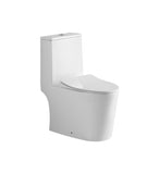 Tiara 777 Rimless Turbo Whirling Flushing Conceal Back 1-Piece Toilet Bowl domaco.com.sg