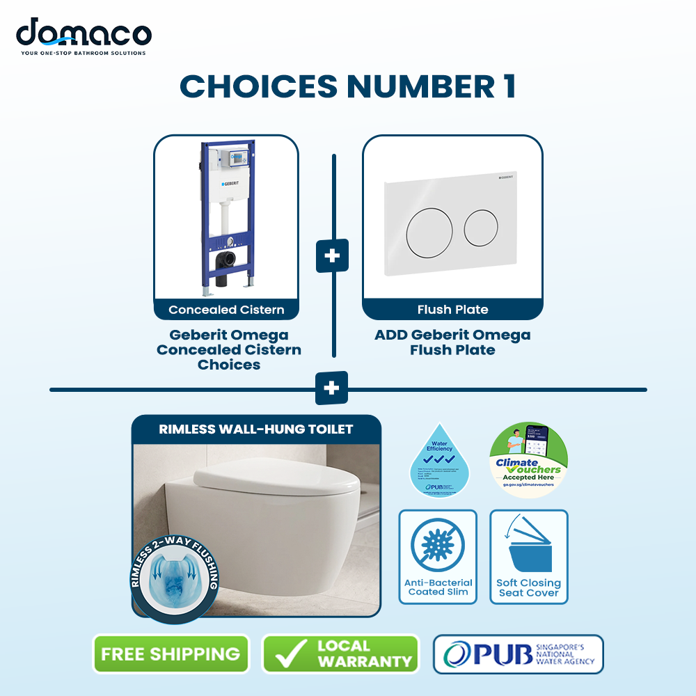 Wall-Mounted Rimless & Rimfree Water Closet Geberit Flushing Bundle Deals