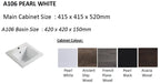 Baron A106 Basin Cabinet Set (304 Stainless Steel) (26800) <br>*Contact us for best price - Domaco