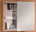 ARINO Stainless Steel Single Sliding Mirror Cabinet - Domaco
