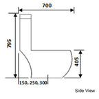 Baron W368A 1-Piece Toilet Bowl (Geberit Flushing System) (30900)<br>*Contact us for best price - Domaco
