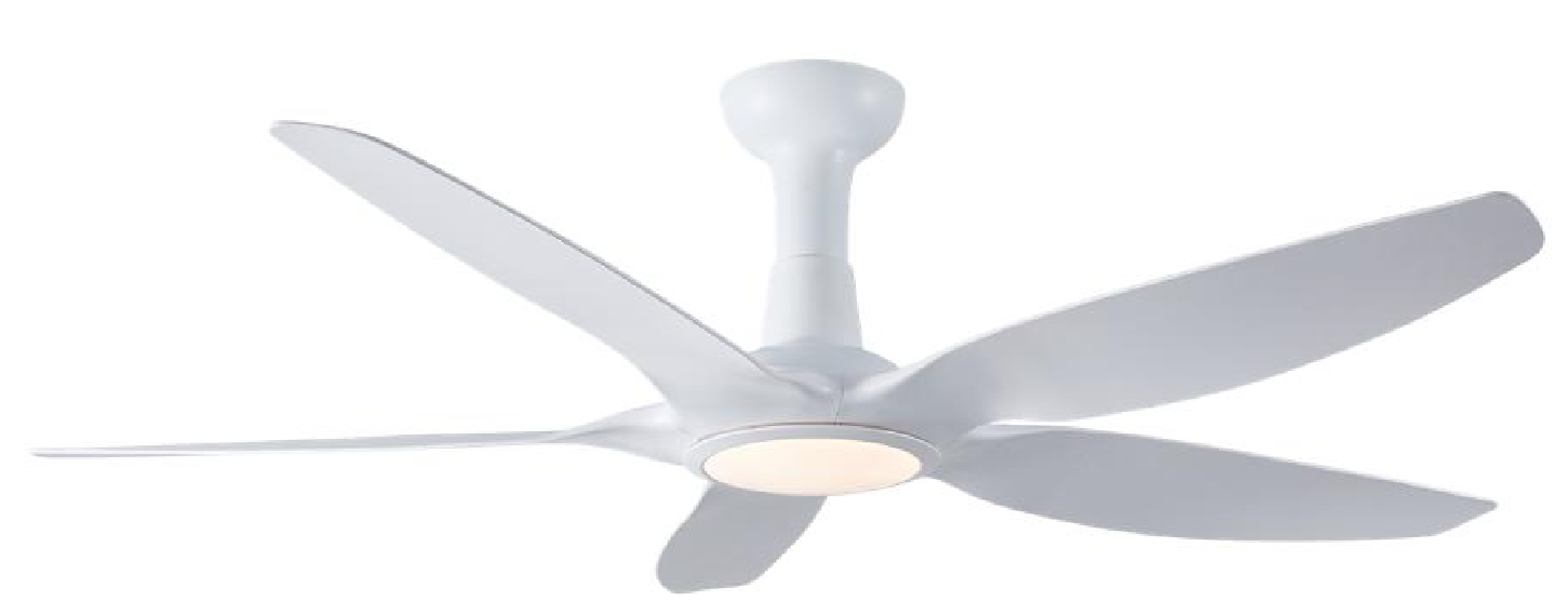 Bestar Rapture Domaco.com.sg