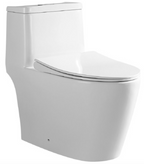 Tiara 918 Rimless Turbo Whirling Flushing Toilet Bowl and Basin Package