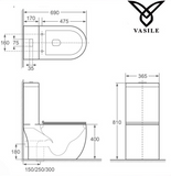 Vasile V598 1-Piece Toilet Bowl domaco.com.sg