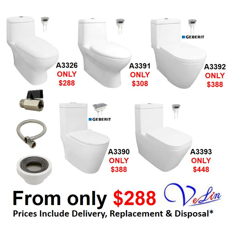 Velin 1Piece Toilet Bowl Package Domaco